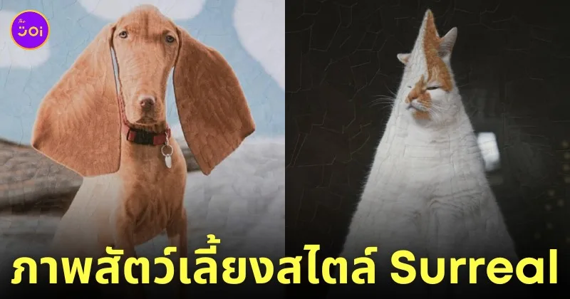 ภาพสัตว์เลี้ยงในรูปแบบ Surreal ศิลปิน Lola Dupre