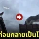 คลิปหมาไซบีเรียนยืนชมวิวบนหลังคาบ้านด้วยมาดสุดเท่ Tiktok