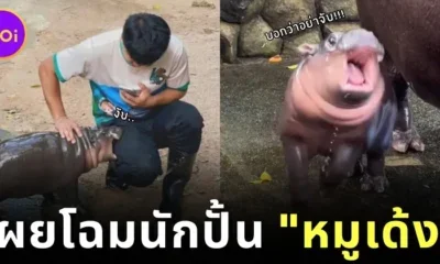 เปิดหน้าพี่เลี้ยง &Quot;หมูเด้ง&Quot; ตัวตึงแห่งสวนสัตว์เปิดเขาเขียว พร้อมความฝันที่ยิ่งใหญ่ที่ตอนนี้ไปไกลกว่าที่หวังแล้ว!