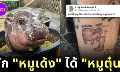 สักผิดชีวิตเปลี่ยน! หนุ่มต่างชาติลงทุนสักรูป "หมูเด้ง" ลูกฮิปโปแคระที่ตัวเองชื่นชอบมาก แต่ภาพที่ออกมาคือ "หมูตุ๋น"