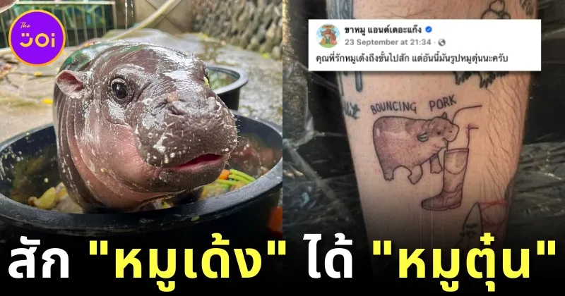 สักผิดชีวิตเปลี่ยน! หนุ่มต่างชาติลงทุนสักรูป &Quot;หมูเด้ง&Quot; ลูกฮิปโปแคระที่ตัวเองชื่นชอบมาก แต่ภาพที่ออกมาคือ &Quot;หมูตุ๋น&Quot;