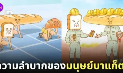 ภาพขนมปังบาแก็ตใช้ชีวิตแบบมนุษย์