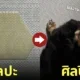 หมาดัชชุนฉี่ พรม อาร์ต รูปทรงหกเหลี่ยม Tiktok