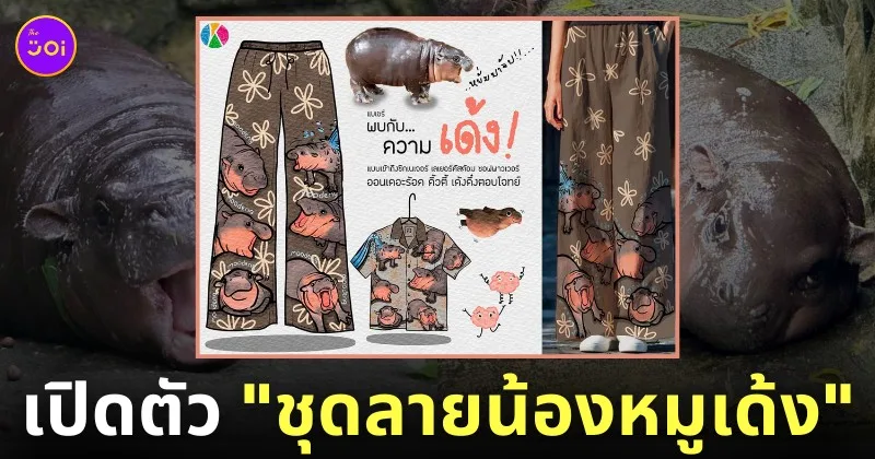 ชุดเซ็ตน้องหมูเด้ง กางเกงลายหมูเด้ง ลูกฮิปโปแคระ สวนสัตว์เปิดเขาเขียว