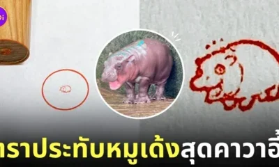 ตราประทับหมูเด้ง