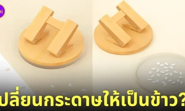 เครื่องเจาะกระดาษ เมล็ดข้าว