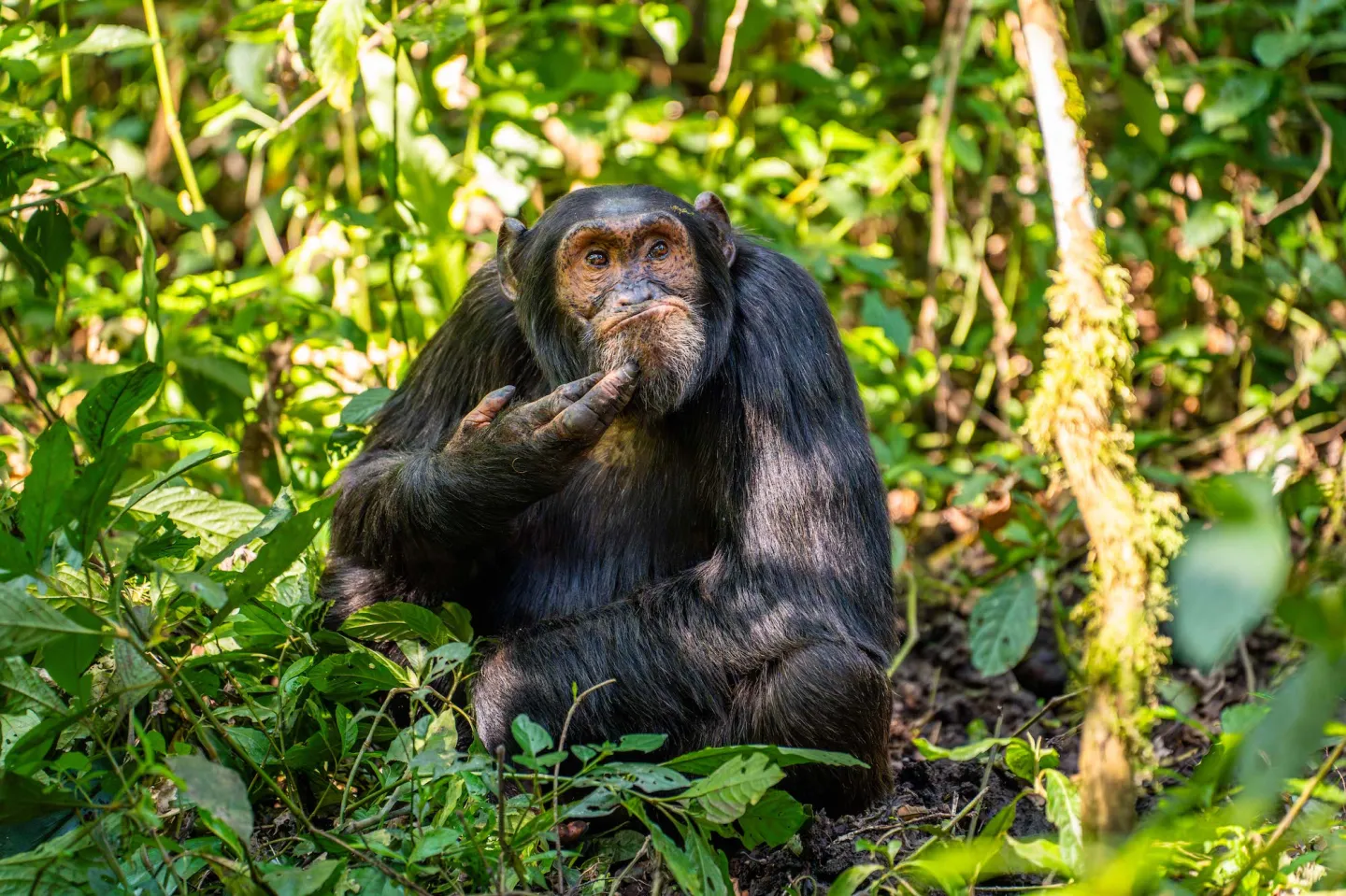 พาส่อง 24 ภาพถ่ายสัตว์ป่าสุดฮา จาก &Quot;Comedy Wildlife Photography Awards&Quot; ประจำปี 2024