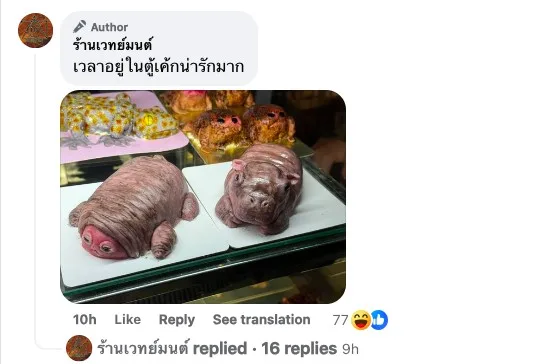 หมูเด้ง ลูกฮิปโปโปเตมัสแคระ สวนสัตว์เปิดเขาเขียว