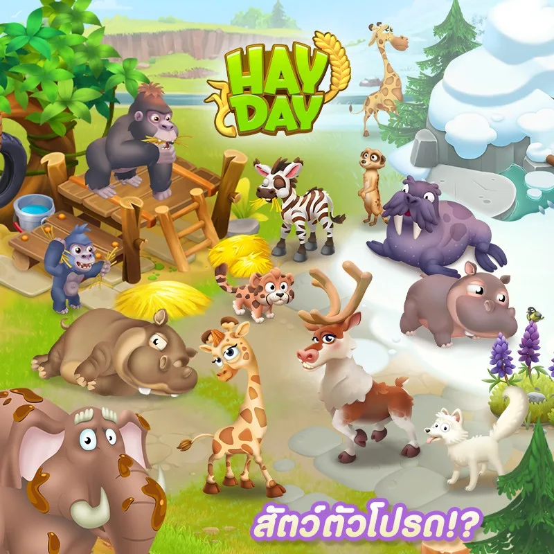 เกินควบคุมแล้ว! &Quot;หมูเด้ง&Quot; ลูกฮิปโปแคระ โผล่ในเกมดัง &Quot;Hay Day&Quot; ที่มีผู้เล่นทั่วโลกกว่า 30 ล้านคน