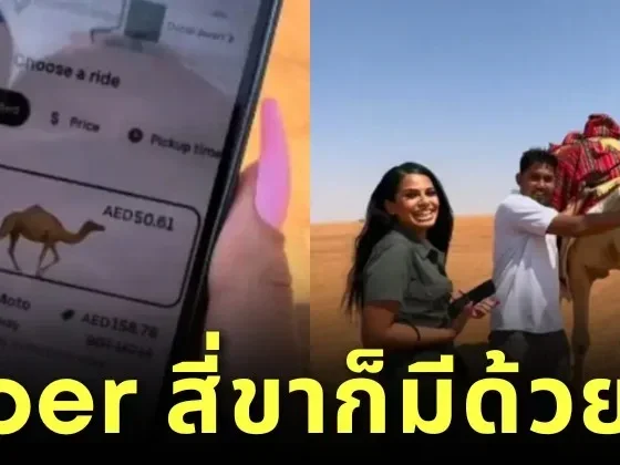 (มีคลิป) นักท่องเที่ยวสาวเจอรถเสียกลางทะเลทรายในดูไบ เลยเรียก &Quot;Uber&Quot; มารับ แต่แท็กซี่ที่ว่าไม่ได้มี 4 ล้อ แต่มี 4 ขา?!