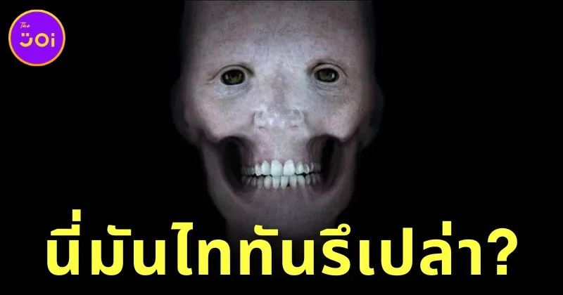 ไวรัล! ภาพจำลองใบหน้ามนุษย์ หากไม่มีกล้ามเนื้อเลยแม้แต่นิดเดียว ชาวเน็ตแห่แซว &Quot;นี่มันไททันรึเปล่า?&Quot;