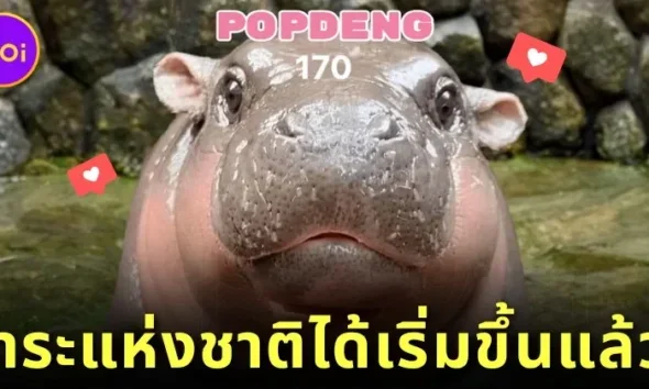 วาระแห่งชาติได้เริ่มขึ้นแล้ว! ชาวไทยรวมพลังจิ้ม &Quot;Popdeng&Quot; เกมคลิก &Quot;หมูเด้ง&Quot; จน &Quot;ไทย&Quot; ผงาดขึ้นอันดับ 1 ของโลก!