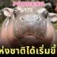 วาระแห่งชาติได้เริ่มขึ้นแล้ว! ชาวไทยรวมพลังจิ้ม &Quot;Popdeng&Quot; เกมคลิก &Quot;หมูเด้ง&Quot; จน &Quot;ไทย&Quot; ผงาดขึ้นอันดับ 1 ของโลก!