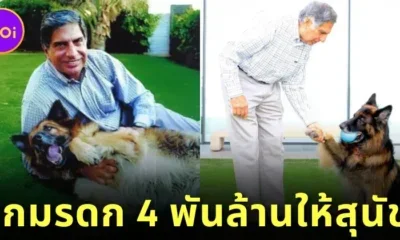 &Quot;Ratan Tata&Quot; มหาเศรษฐีอินเดียยกมรดก 4 พันล้านบาท ให้สุนัขตัวโปรด