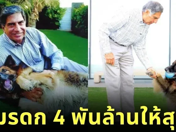 &Quot;Ratan Tata&Quot; มหาเศรษฐีอินเดียยกมรดก 4 พันล้านบาท ให้สุนัขตัวโปรด