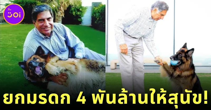 &Quot;Ratan Tata&Quot; มหาเศรษฐีอินเดียยกมรดก 4 พันล้านบาท ให้สุนัขตัวโปรด