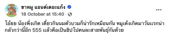 ลูกฮิปโปเกิดใหม่ในสวนสัตว์ศรีสะเกษถูกบูลลี่ว่าไม่น่ารักเหมือน &Quot;หมูเด้ง&Quot; จน &Quot;พี่เบนซ์&Quot; ต้องออกโรงปกป้อง