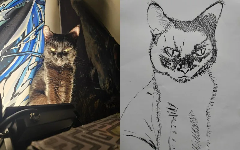 I Will Poorly Draw Your Cat ภาพวาดแมว Squishedsteak 