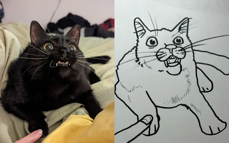 I Will Poorly Draw Your Cat ภาพวาดแมว Squishedsteak 