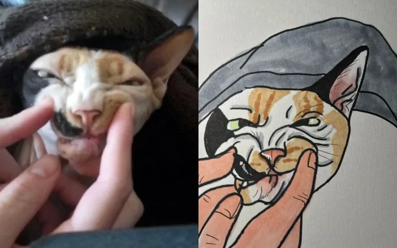 I Will Poorly Draw Your Cat ภาพวาดแมว Squishedsteak 