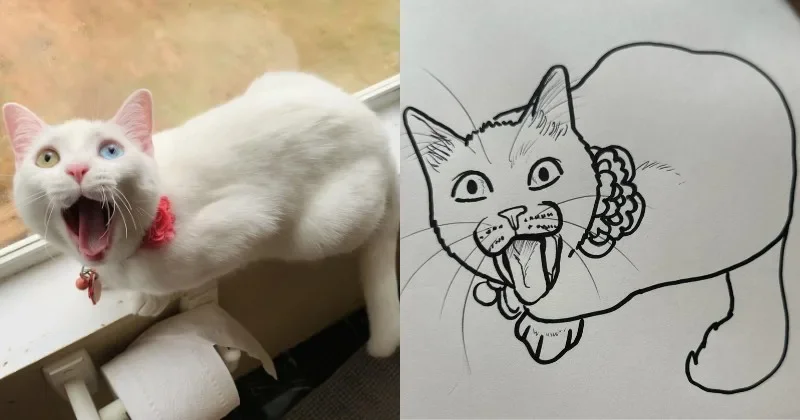 I Will Poorly Draw Your Cat ภาพวาดแมว Squishedsteak 