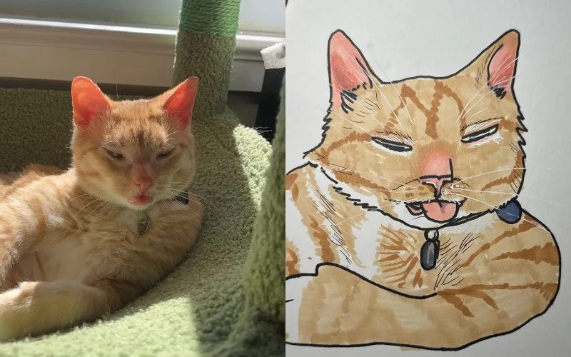 I Will Poorly Draw Your Cat ภาพวาดแมว Squishedsteak 