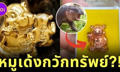 หมูเด้ง ฮิปโปกวักทรัพย์