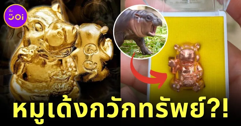 หมูเด้ง ฮิปโปกวักทรัพย์