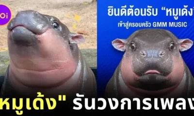 &Quot;หมูเด้ง&Quot; รันวงการเพลง! ปล่อยเพลงใหม่ 2 ซิงเกิ้ล มีทั้งหมด 4 ภาษา ภายใต้สังกัด &Quot;Gmm Music&Quot;