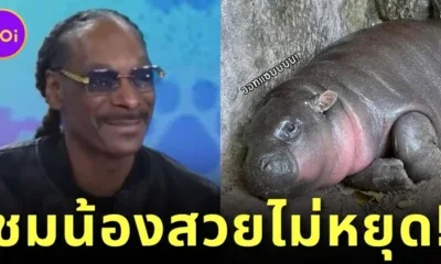 ตกหลุมรักน้องอีกหนึ่ง! &Quot;สนูป ด็อกด์ (Snoop Dogg)&Quot; แร็ปเปอร์ดังระดับโลก เผยเป็นแฟนคลับ &Quot;หมูเด้ง&Quot; แถมยังชมว่าสวยไม่หยุด