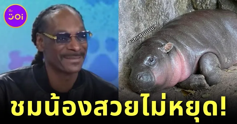 ตกหลุมรักน้องอีกหนึ่ง! &Quot;สนูป ด็อกด์ (Snoop Dogg)&Quot; แร็ปเปอร์ดังระดับโลก เผยเป็นแฟนคลับ &Quot;หมูเด้ง&Quot; แถมยังชมว่าสวยไม่หยุด