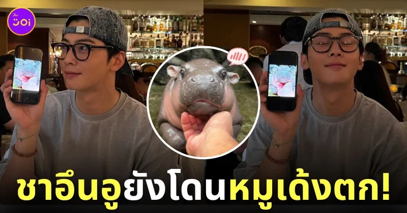 ชาอึนอูโพสต์รูปหมูเด้ง