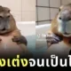 Ai Capibara fat tummy