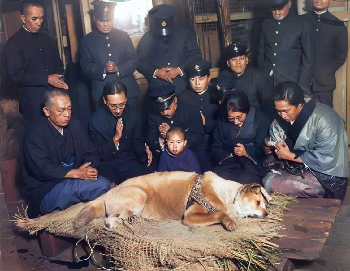 ร่างจริง "ฮาจิโกะ (Hachiko)" สุนัขยอดกตัญญูที่โด่งดังไปทั่วโลก แท้จริงแล้วอยู่ที่นี่!