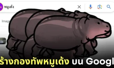 Google Doodle สร้างกองทัพหมูเด้ง