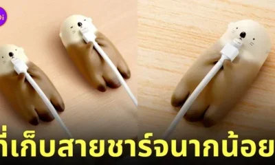 ที่เก็บสายชาร์จนากน้อย