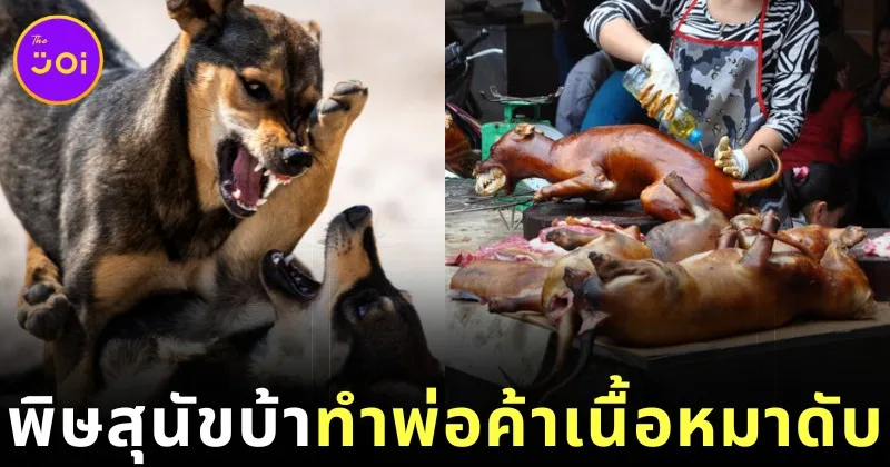 หนุ่มเวียดนามเจ้าของร้านขายเนื้อสุนัขและแมวเสียชีวิตในวัย 33 ปี หลังติดเชื้อพิษสุนัขบ้า