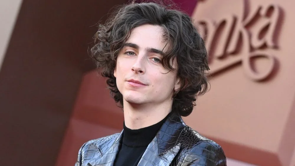 &Quot;ทิโมธี ชาลาเมต์ (Timothée Chalamet)&Quot; สุดเซ็ง! เผยหุ่นเพรียวเป็นเหตุให้พลาดบทในหนังแอคชั่นมากมาย