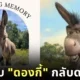 แฟนการ์ตูน​ "Shrek" เศร้า! เจ้าลา "เพอร์รี่ (Perry)" ผู้เป็นต้นแบบของ "ดองกี้ (Donkey)" กลับดาวอันไกลโพ้นแล้ว