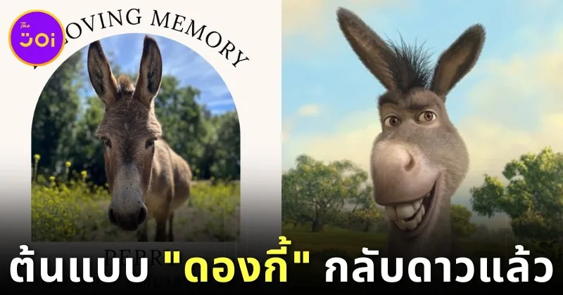 แฟนการ์ตูน​ "Shrek" เศร้า! เจ้าลา "เพอร์รี่ (Perry)" ผู้เป็นต้นแบบของ "ดองกี้ (Donkey)" กลับดาวอันไกลโพ้นแล้ว