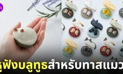 NEKO true wireless earphones หูฟังบลูทูธ ทาสแมว