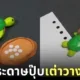 เครื่องเจาะกระดาษเต่าทะเล