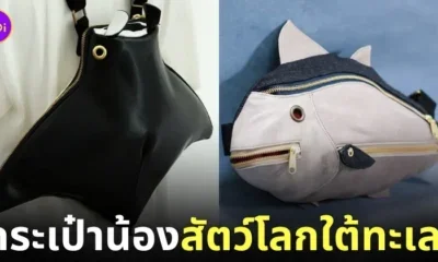 กระเป๋าน้องสัตว์โลกใต้ทะเล แบรนด์ Kabanbaka ญี่ปุ่น