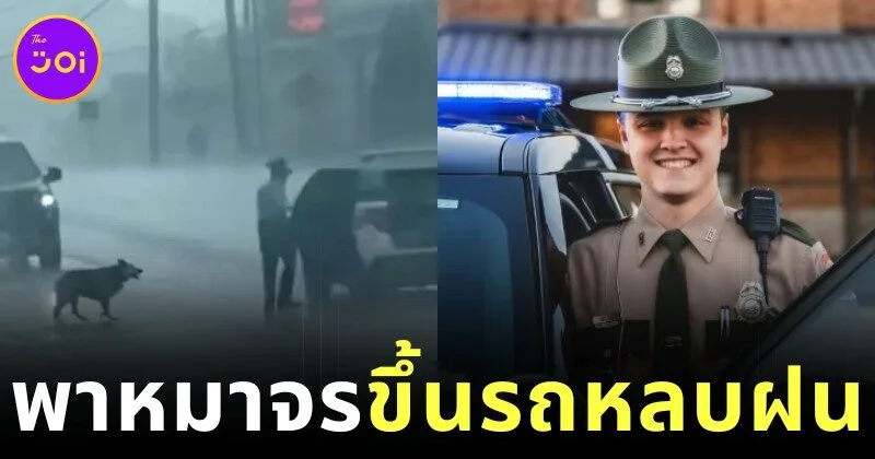 ตำรวจทางหลวงสหรัฐฯ ช่วยพาสุนัขจรจัดกลางฝนที่ตกหนักขึ้นรถสายตรวจ ชาวเน็ตเห็นแล้วใจฟูแห่แชร์จนเป็นไวรัล!