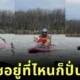 เมื่อเจ้านายสาวพาหมาไซมาร่วมพาย SUP Board ความปั่นป่วนจึงเริ่มต้นขึ้นไม่มีหยุดจนกลายเป็นไวรัล!