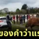 A clip of a kind horse helping to pull a car stuck in mud netizens tease 22This is the origin of the word horsepower22