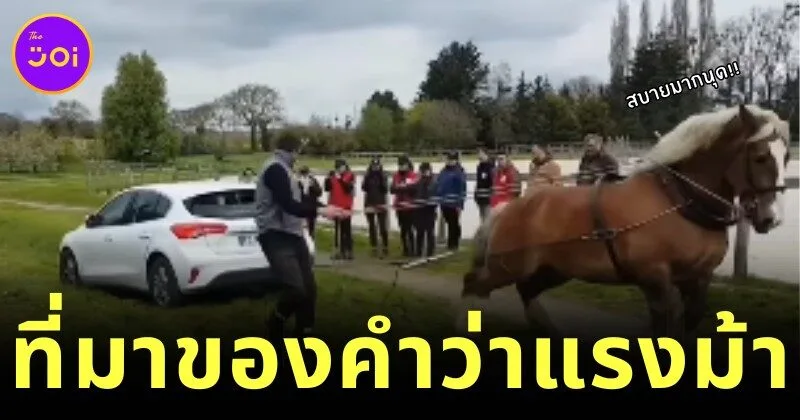 A clip of a kind horse helping to pull a car stuck in mud netizens tease 22This is the origin of the word horsepower22