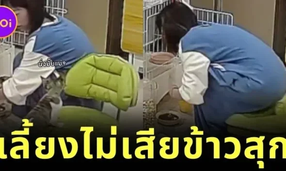 สาวเผยคลิปน้องแมวช่วยผลักเก้าอี้ให้เธอนั่ง ตอบกลับคนชอบถามว่า "ใครจะดูแลตอนแก่?"