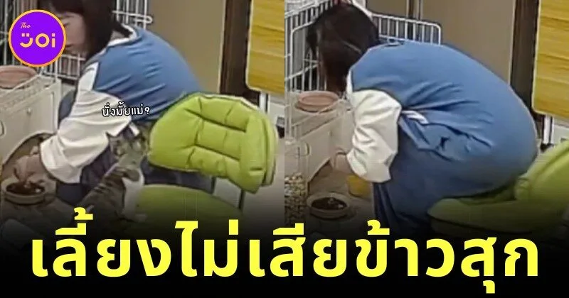 สาวเผยคลิปน้องแมวช่วยผลักเก้าอี้ให้เธอนั่ง ตอบกลับคนชอบถามว่า "ใครจะดูแลตอนแก่?"