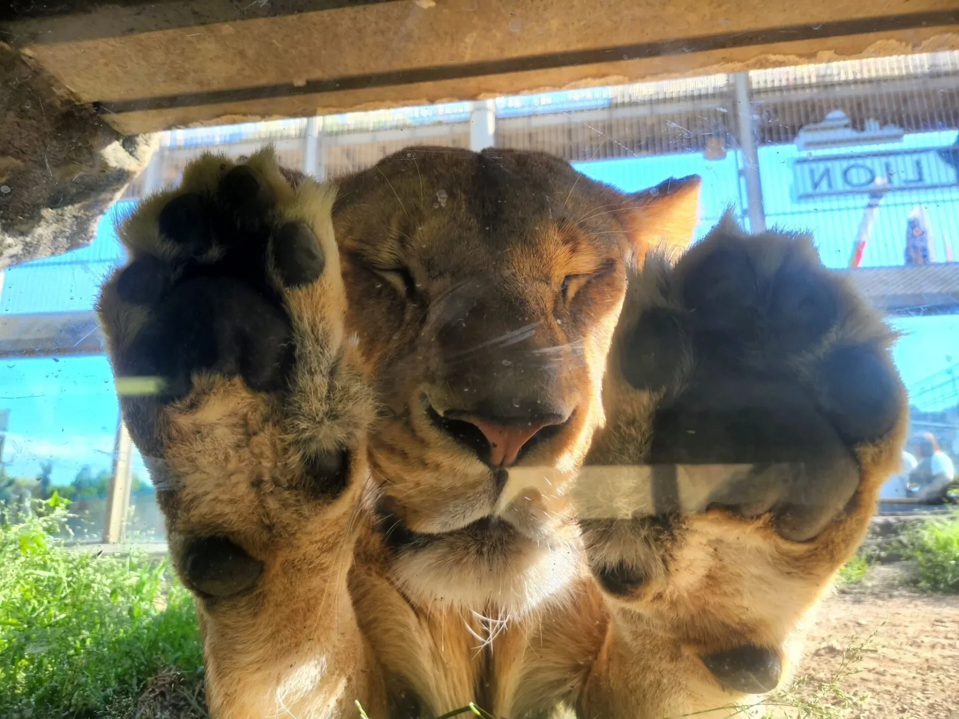 ภาพสัตว์โลกน่ารัก สวนสัตว์โทบุ Tobu Zoo ประเทศญี่ปุ่น